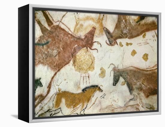 Cave of Lascaux, Ceiling of the Diverticulum: a Horse and Three Cows, C. 17,000 BC-null-Framed Premier Image Canvas