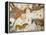 Cave of Lascaux, Ceiling of the Diverticulum: a Horse and Three Cows, C. 17,000 BC-null-Framed Premier Image Canvas