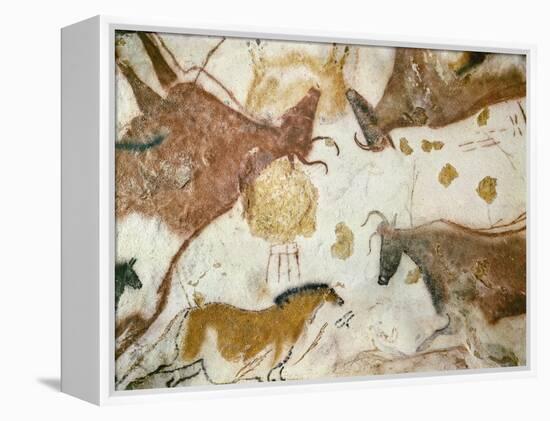 Cave of Lascaux, Ceiling of the Diverticulum: a Horse and Three Cows, C. 17,000 BC-null-Framed Premier Image Canvas