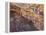 Cave of the Hands, Argentina-Javier Trueba-Framed Premier Image Canvas