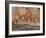 Cave of the Hands, Argentina-Javier Trueba-Framed Photographic Print