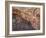 Cave of the Hands, Argentina-Javier Trueba-Framed Photographic Print