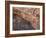 Cave of the Hands, Argentina-Javier Trueba-Framed Photographic Print