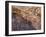 Cave of the Hands, Argentina-Javier Trueba-Framed Photographic Print