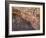 Cave of the Hands, Argentina-Javier Trueba-Framed Photographic Print