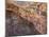 Cave of the Hands, Argentina-Javier Trueba-Mounted Photographic Print