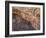 Cave of the Hands, Argentina-Javier Trueba-Framed Photographic Print