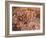 Cave of the Hands, Argentina-Javier Trueba-Framed Photographic Print