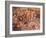 Cave of the Hands, Argentina-Javier Trueba-Framed Photographic Print