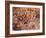 Cave of the Hands, Argentina-Javier Trueba-Framed Photographic Print