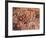 Cave of the Hands, Argentina-Javier Trueba-Framed Photographic Print