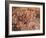 Cave of the Hands, Argentina-Javier Trueba-Framed Photographic Print