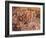 Cave of the Hands, Argentina-Javier Trueba-Framed Photographic Print