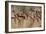 Cave Painting: Kolo Figures with Head-dresses-Sinclair Stammers-Framed Photographic Print