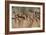 Cave Painting: Kolo Figures with Head-dresses-Sinclair Stammers-Framed Photographic Print