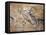 Cave Painting of Bird-Headed Man at Lascaux-null-Framed Premier Image Canvas