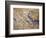 Cave Painting of Bird-Headed Man at Lascaux-null-Framed Photographic Print