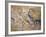 Cave Painting of Bird-Headed Man at Lascaux-null-Framed Photographic Print