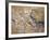 Cave Painting of Bird-Headed Man at Lascaux-null-Framed Photographic Print