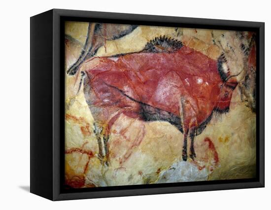 Cave Painting of Bison at Altamira-null-Framed Premier Image Canvas