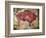 Cave Painting of Bison at Altamira-null-Framed Photographic Print