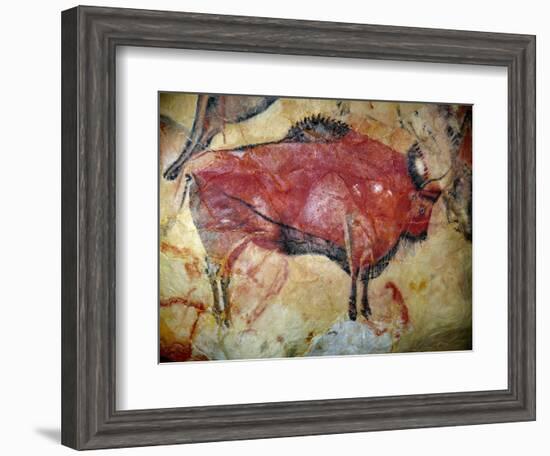 Cave Painting of Bison at Altamira-null-Framed Photographic Print