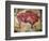 Cave Painting of Bison at Altamira-null-Framed Photographic Print