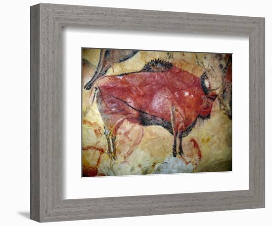 Cave Painting of Bison at Altamira-null-Framed Photographic Print