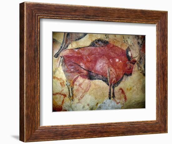Cave Painting of Bison at Altamira--Framed Photographic Print