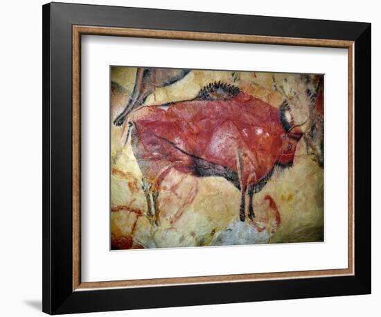 Cave Painting of Bison at Altamira--Framed Photographic Print