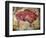 Cave Painting of Bison at Altamira-null-Framed Photographic Print