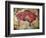 Cave Painting of Bison at Altamira-null-Framed Photographic Print