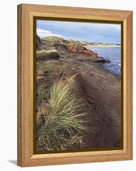 Cavendish Coast, Prince Edward Island, Canada-Alison Wright-Framed Premier Image Canvas