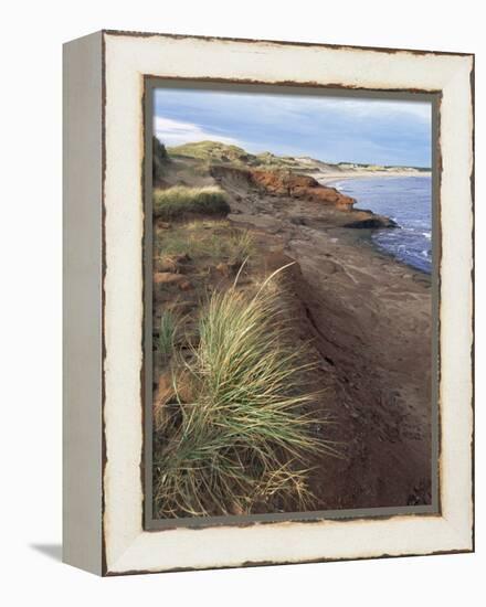 Cavendish Coast, Prince Edward Island, Canada-Alison Wright-Framed Premier Image Canvas