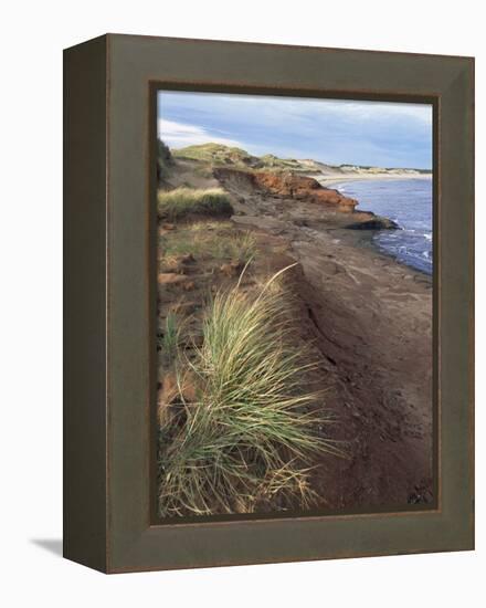 Cavendish Coast, Prince Edward Island, Canada-Alison Wright-Framed Premier Image Canvas