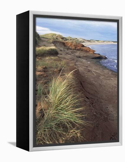 Cavendish Coast, Prince Edward Island, Canada-Alison Wright-Framed Premier Image Canvas