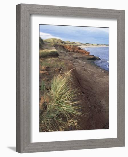 Cavendish Coast, Prince Edward Island, Canada-Alison Wright-Framed Photographic Print