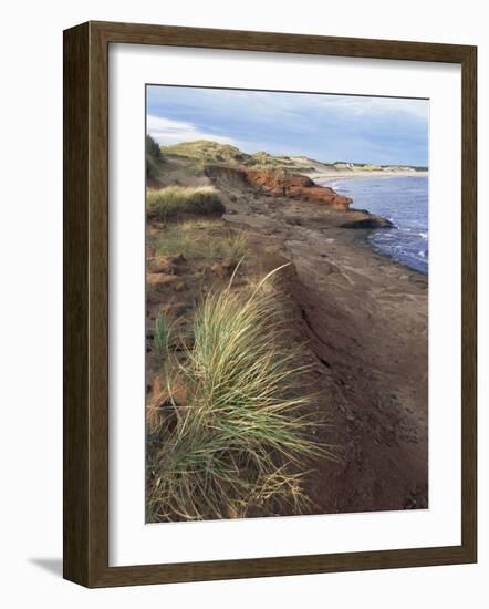 Cavendish Coast, Prince Edward Island, Canada-Alison Wright-Framed Photographic Print