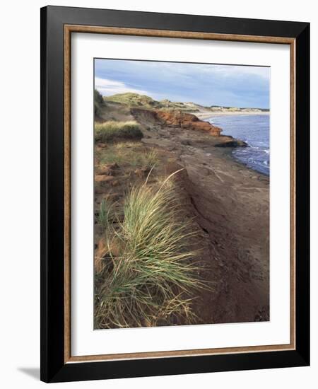 Cavendish Coast, Prince Edward Island, Canada-Alison Wright-Framed Photographic Print