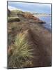 Cavendish Coast, Prince Edward Island, Canada-Alison Wright-Mounted Photographic Print