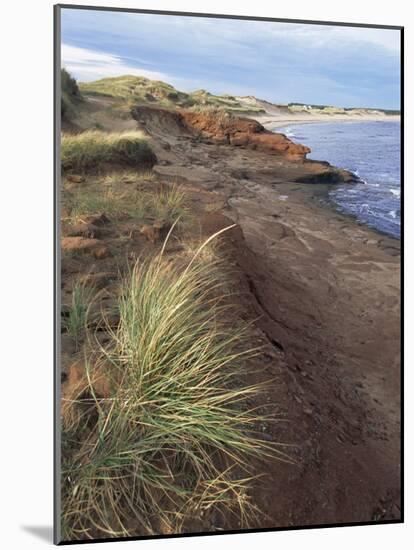 Cavendish Coast, Prince Edward Island, Canada-Alison Wright-Mounted Photographic Print