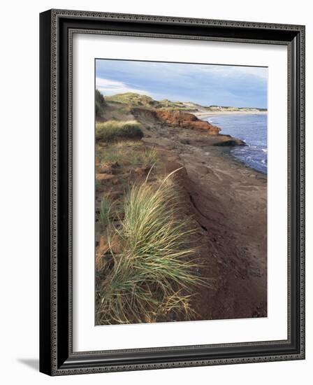 Cavendish Coast, Prince Edward Island, Canada-Alison Wright-Framed Photographic Print