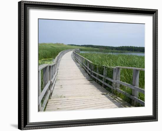 Cavendish Coastal Dune Area, Prince Edward Island National Park, Canada-Cindy Miller Hopkins-Framed Photographic Print