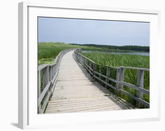 Cavendish Coastal Dune Area, Prince Edward Island National Park, Canada-Cindy Miller Hopkins-Framed Photographic Print