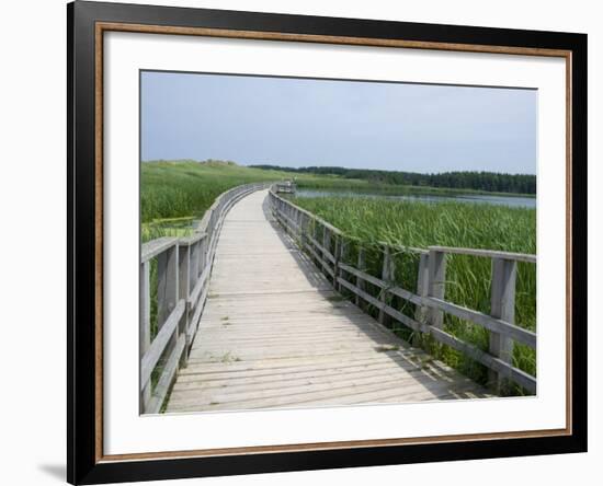 Cavendish Coastal Dune Area, Prince Edward Island National Park, Canada-Cindy Miller Hopkins-Framed Photographic Print