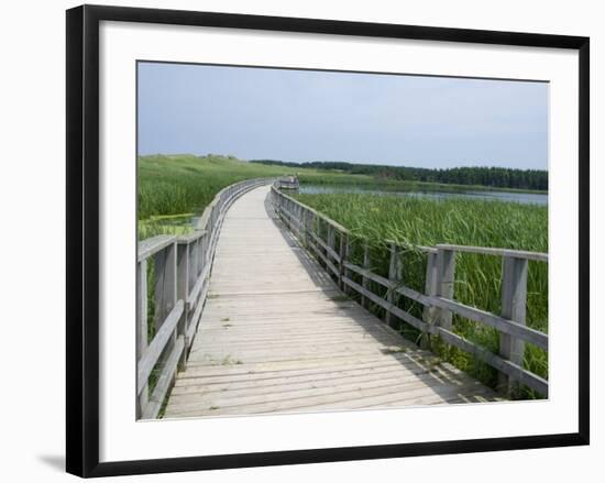 Cavendish Coastal Dune Area, Prince Edward Island National Park, Canada-Cindy Miller Hopkins-Framed Photographic Print