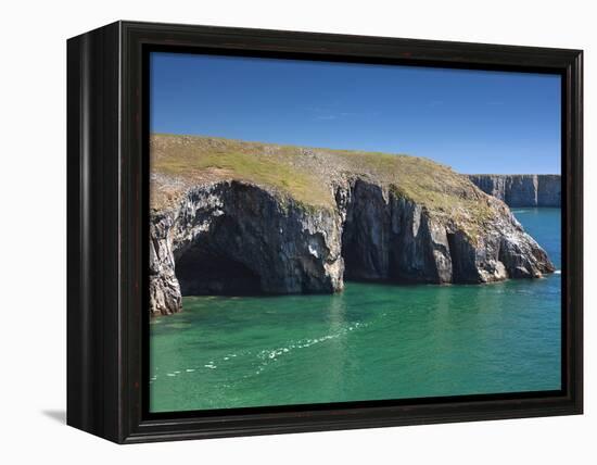 Caves at Raming Hole, Looking Towards Stackpole Head, Pembrokeshire, Wales, United Kingdom, Europe-David Clapp-Framed Premier Image Canvas