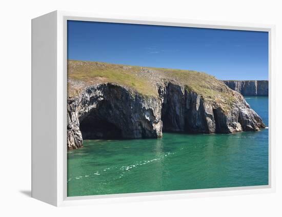 Caves at Raming Hole, Looking Towards Stackpole Head, Pembrokeshire, Wales, United Kingdom, Europe-David Clapp-Framed Premier Image Canvas