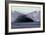 Caves In the Ross Ice Shelf, Antartica-Doug Allan-Framed Photographic Print