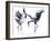 Cavorting Cranes-Kristine Hegre-Framed Giclee Print